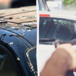 Kuşlar artık arabalara pislemeyecek: İşte yapmanız gerekenler Kuşlar artık arabalara pislemeyecek: İşte yapmanız gerekenler